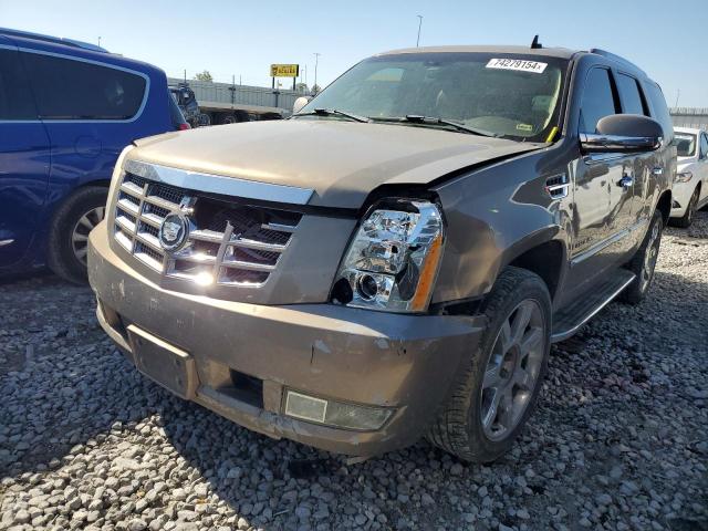 2007 Cadillac Escalade Luxury