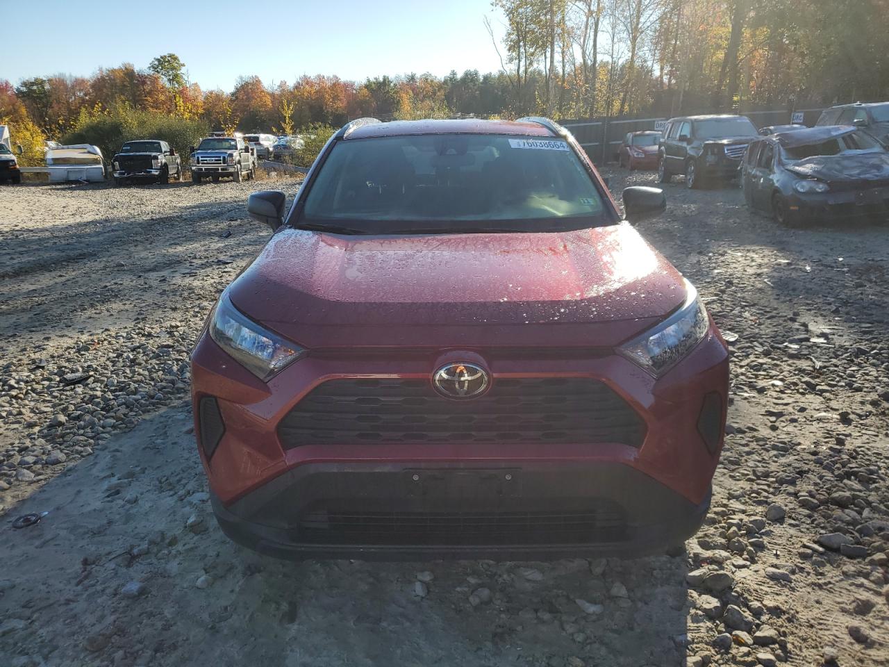 2019 Toyota RAV 4 - Image 5