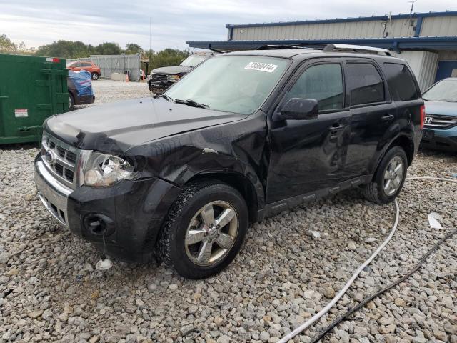 2010 Ford Escape Limited