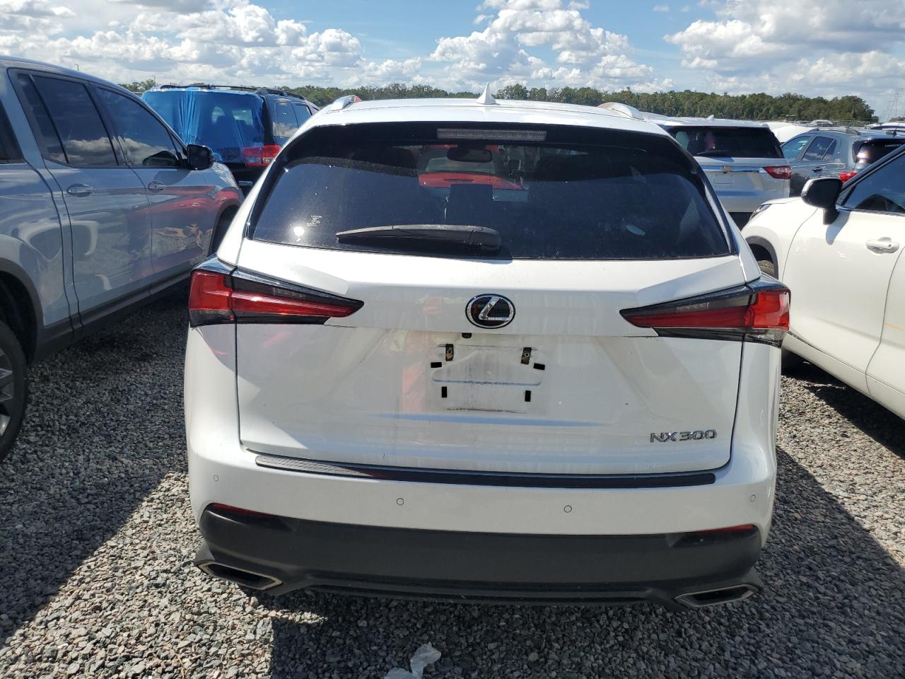 2019 Lexus Nx 300 Base VIN: JTJYARBZ9K2121243 Lot: 73693844