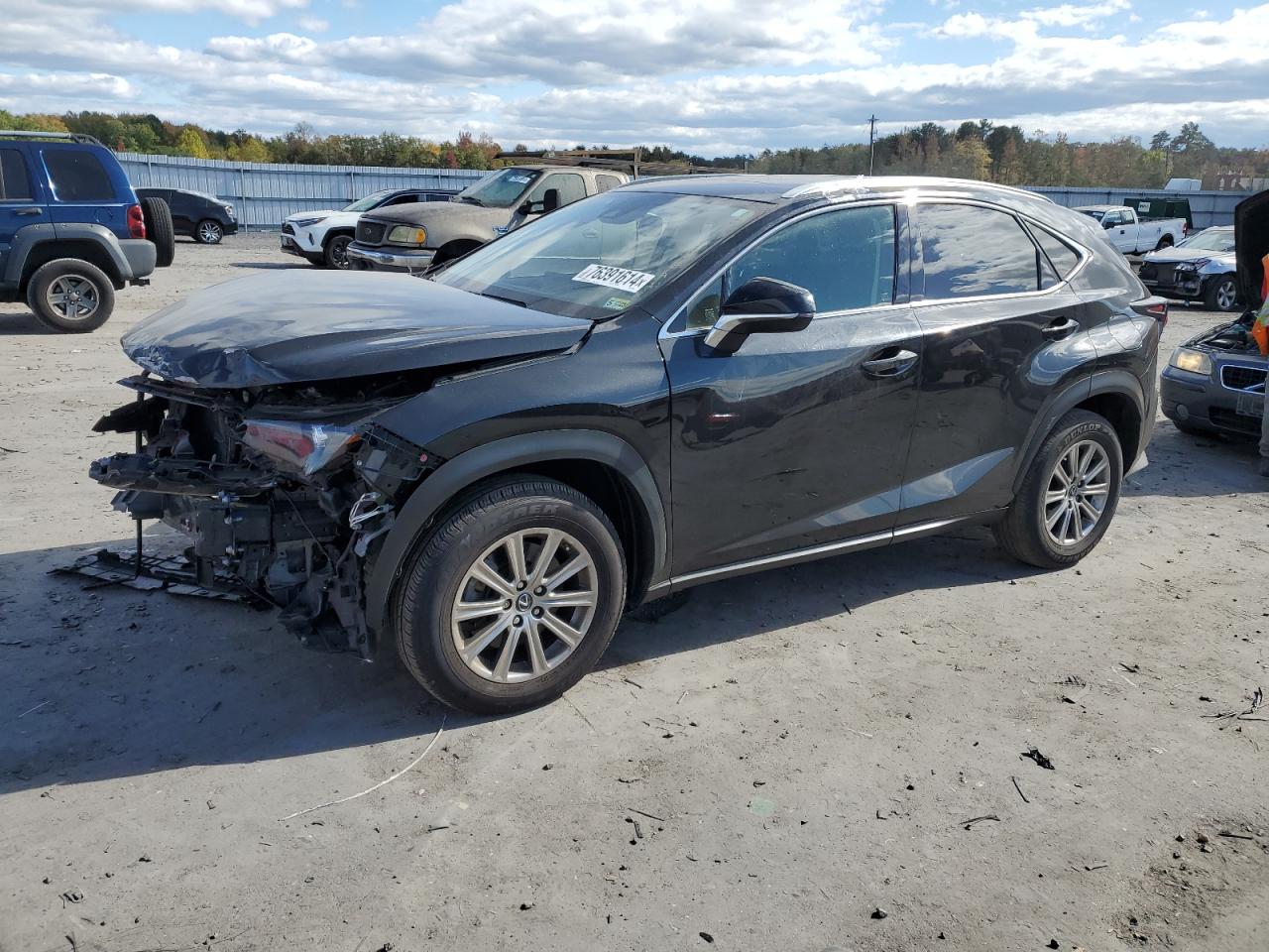 2020 Lexus Nx 300 VIN: JTJDARDZ4L2232120 Lot: 76391614