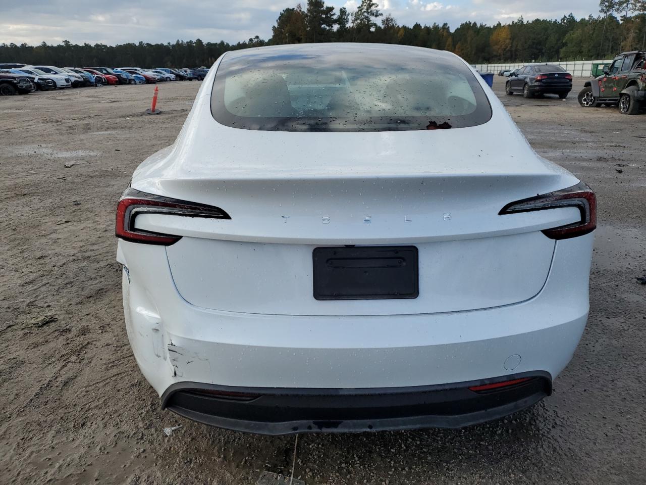 2024 Tesla Model 3 VIN: 5YJ3E1EA4RF825415 Lot: 76338654