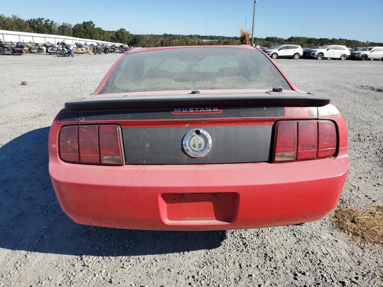 2007 Ford Mustang VIN: 1ZVFT80N175202805 Lot: 75520034