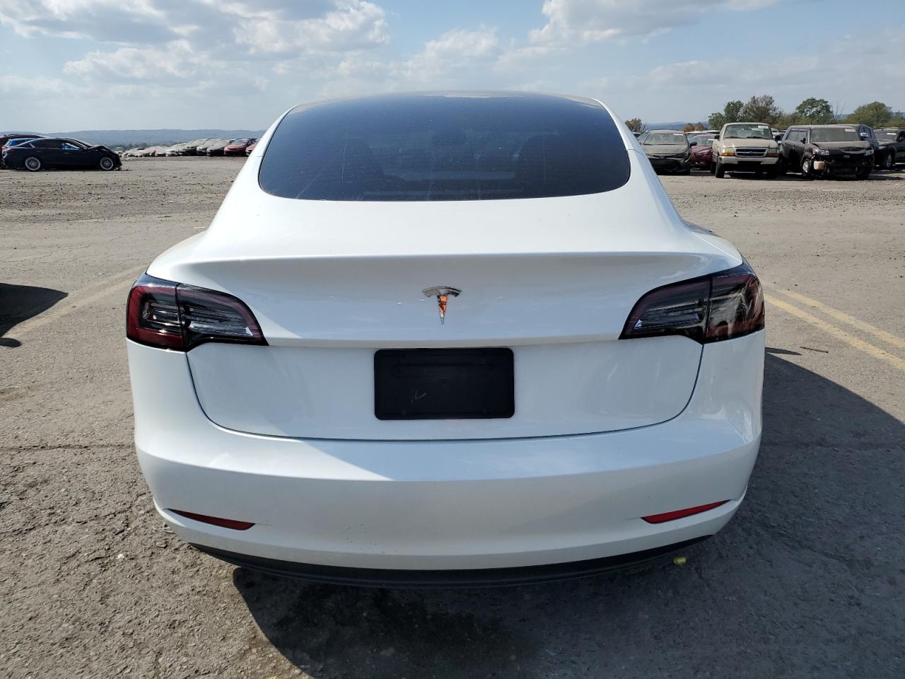 2023 Tesla Model 3 VIN: 5YJ3E1EA5PF454360 Lot: 74674164