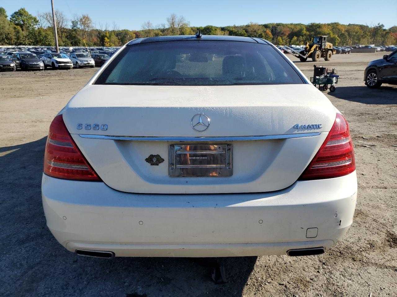 WDDNG9EBXDA514296 2013 Mercedes-Benz S 550 4Matic