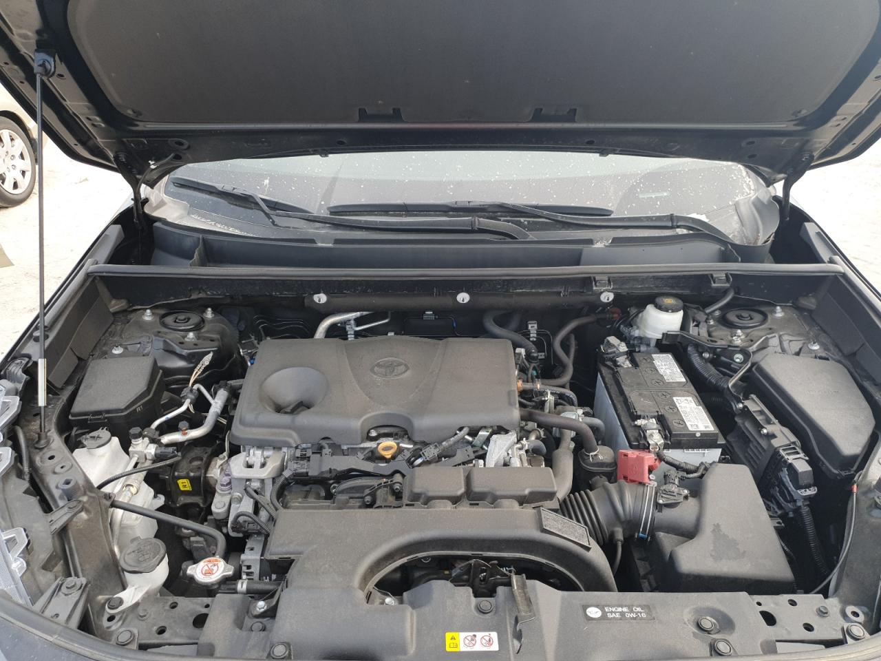 2021 Toyota Rav4 Xle Premium VIN: 2T3C1RFV7MC172692 Lot: 76201994