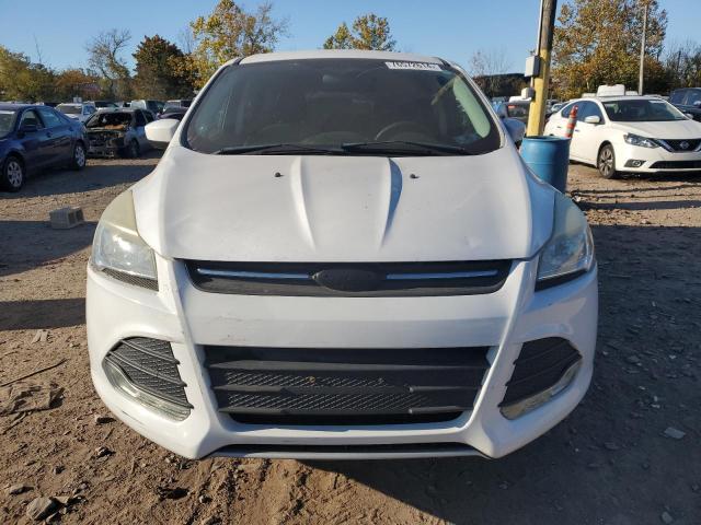  FORD ESCAPE 2014 White