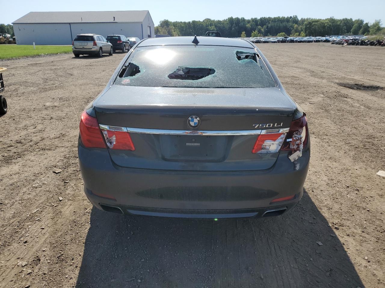 2010 BMW 750 Li xDrive VIN: WBAKC8C57ACY68791 Lot: 74768084