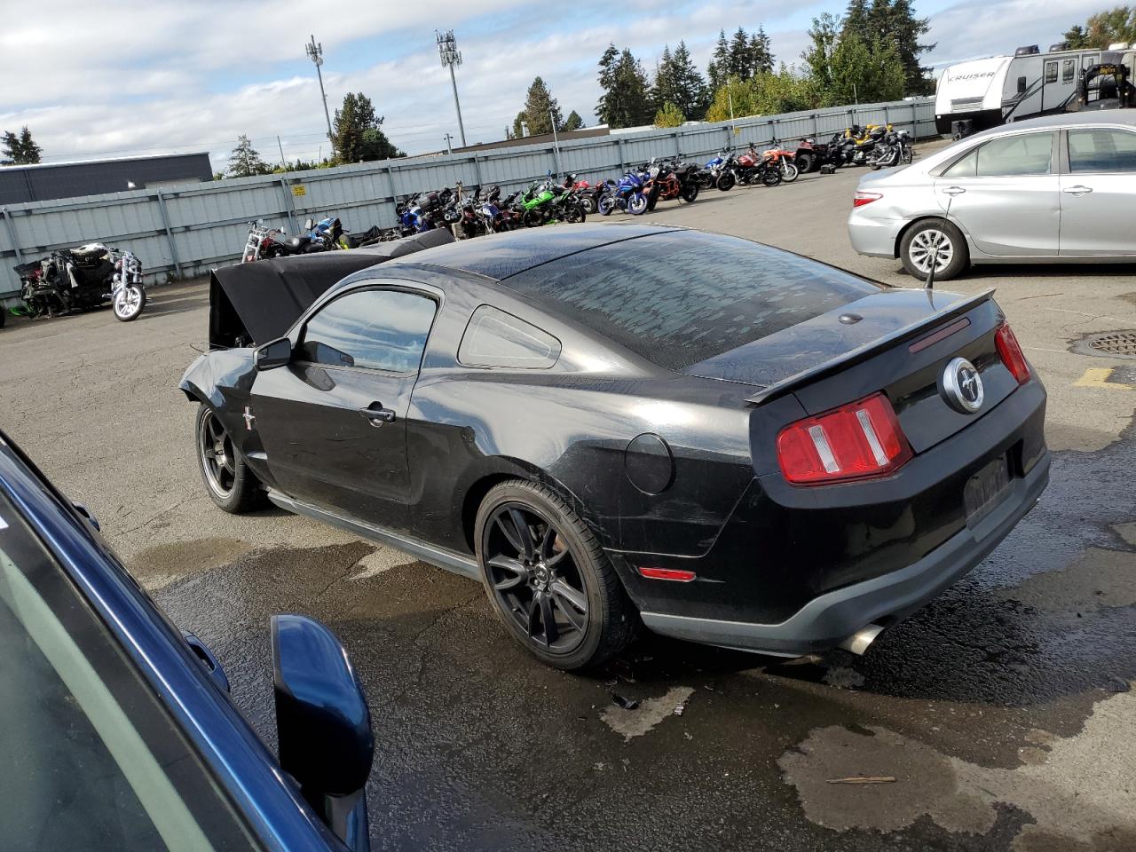 2011 Ford Mustang VIN: 1ZVBP8AM4B5154072 Lot: 75900604