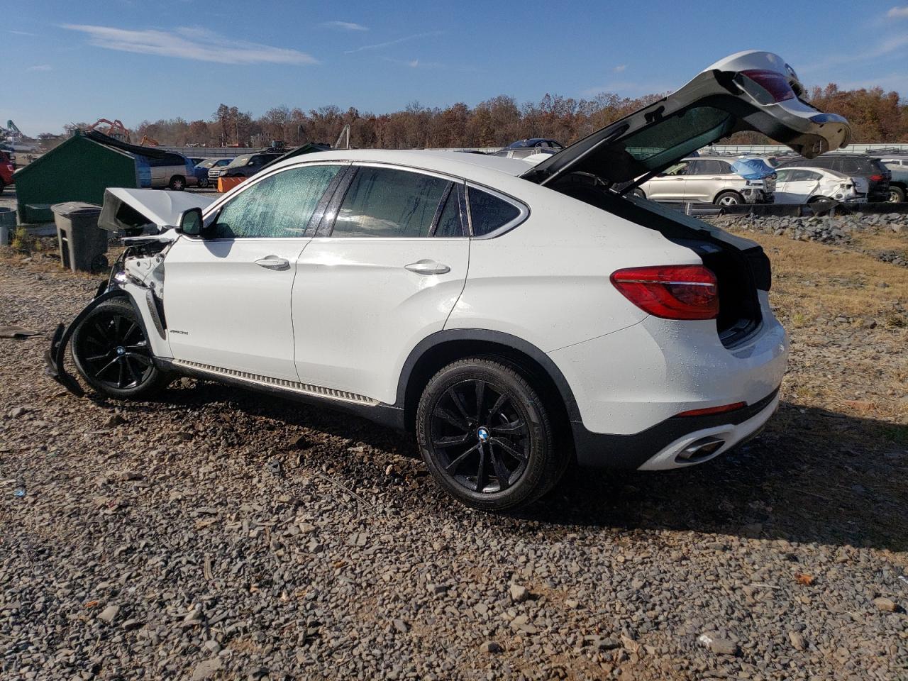 2019 BMW X6 xDrive35I VIN: 5UXKU2C54K0Z65848 Lot: 78101644