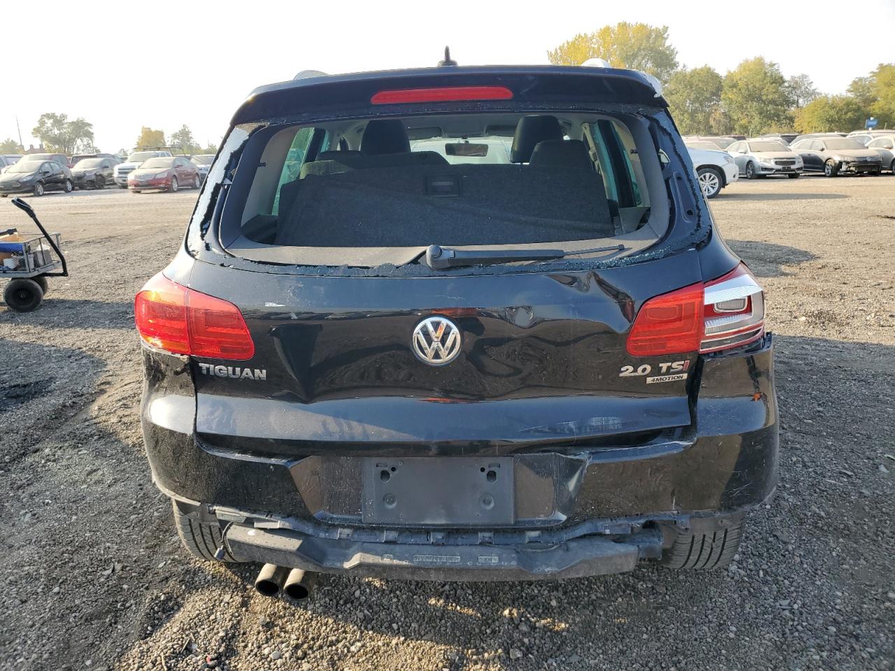 2014 Volkswagen Tiguan S VIN: WVGBV3AX3EW548288 Lot: 75627344