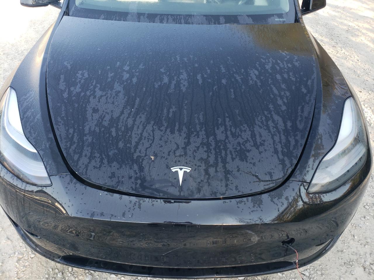 2021 Tesla Model Y VIN: 5YJYGDEE0MF187385 Lot: 72310394