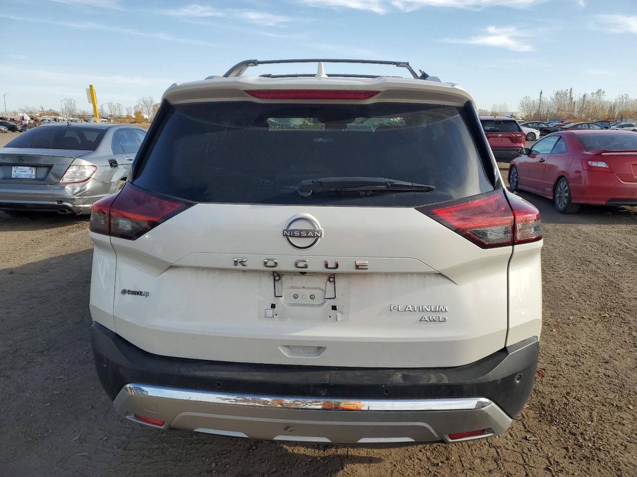 2022 Nissan Rogue Platinum VIN: JN8BT3DD9NW270643 Lot: 77166734