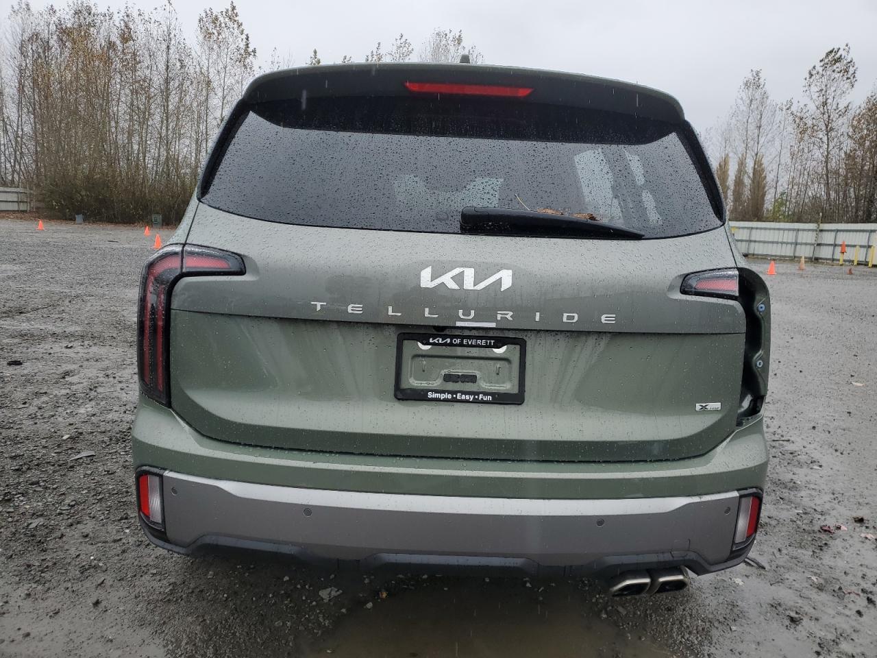 2023 Kia Telluride Ex VIN: 5XYP3DGC1PG339786 Lot: 78705974