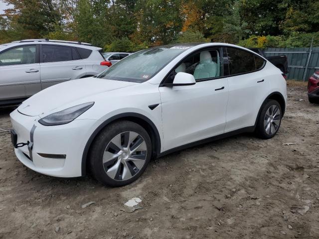 2020 Tesla Model Y 