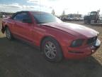 2006 FORD MUSTANG  for sale at Copart AB - CALGARY