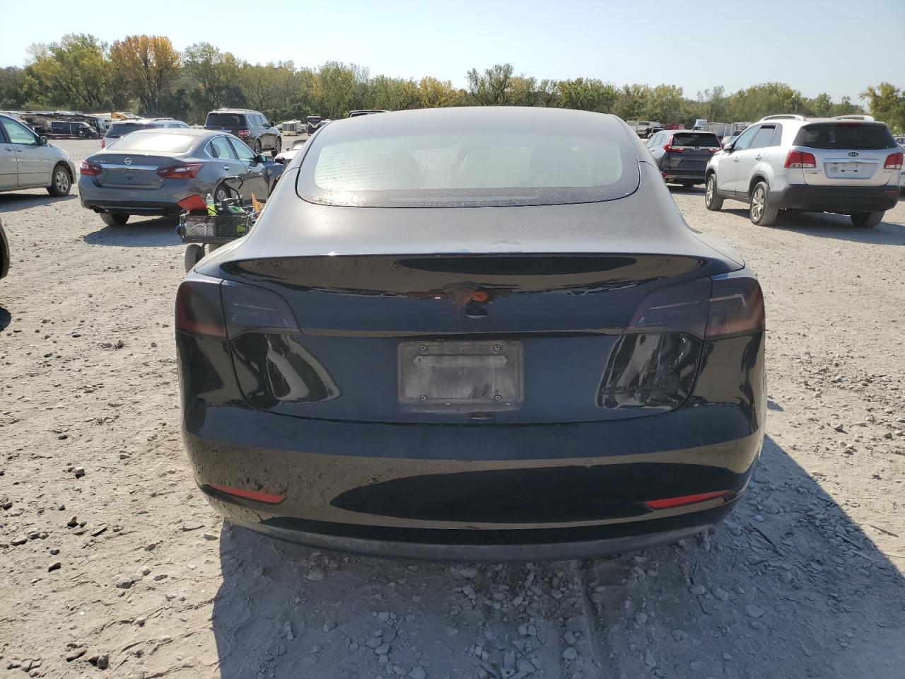 2021 Tesla Model 3 VIN: 5YJ3E1EB9MF010192 Lot: 75531774