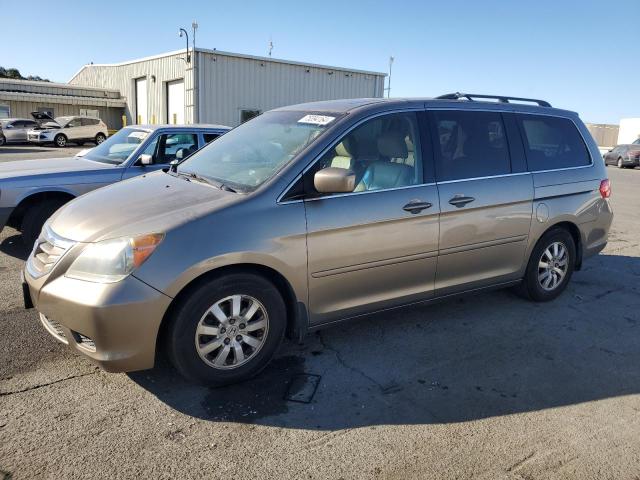 2010 Honda Odyssey Exl