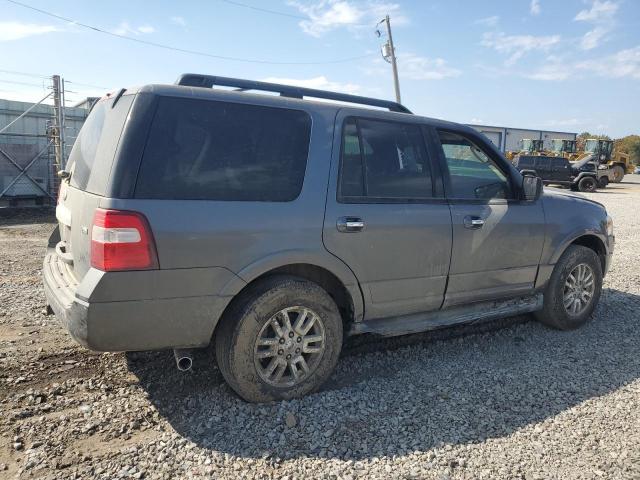 Parquets FORD EXPEDITION 2014 Gray