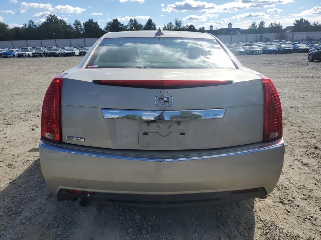 2013 Cadillac Cts Luxury Collection VIN: 1G6DE5E55D0103539 Lot: 76397914