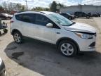 2014 Ford Escape Se للبيع في Lexington، KY - Front End