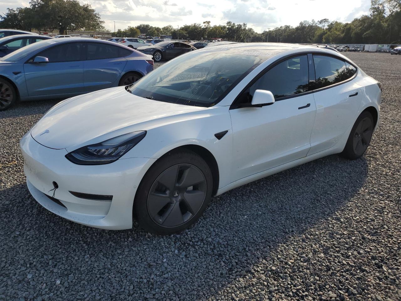 5YJ3E1EA4MF853756 2021 TESLA MODEL 3 - Image 1