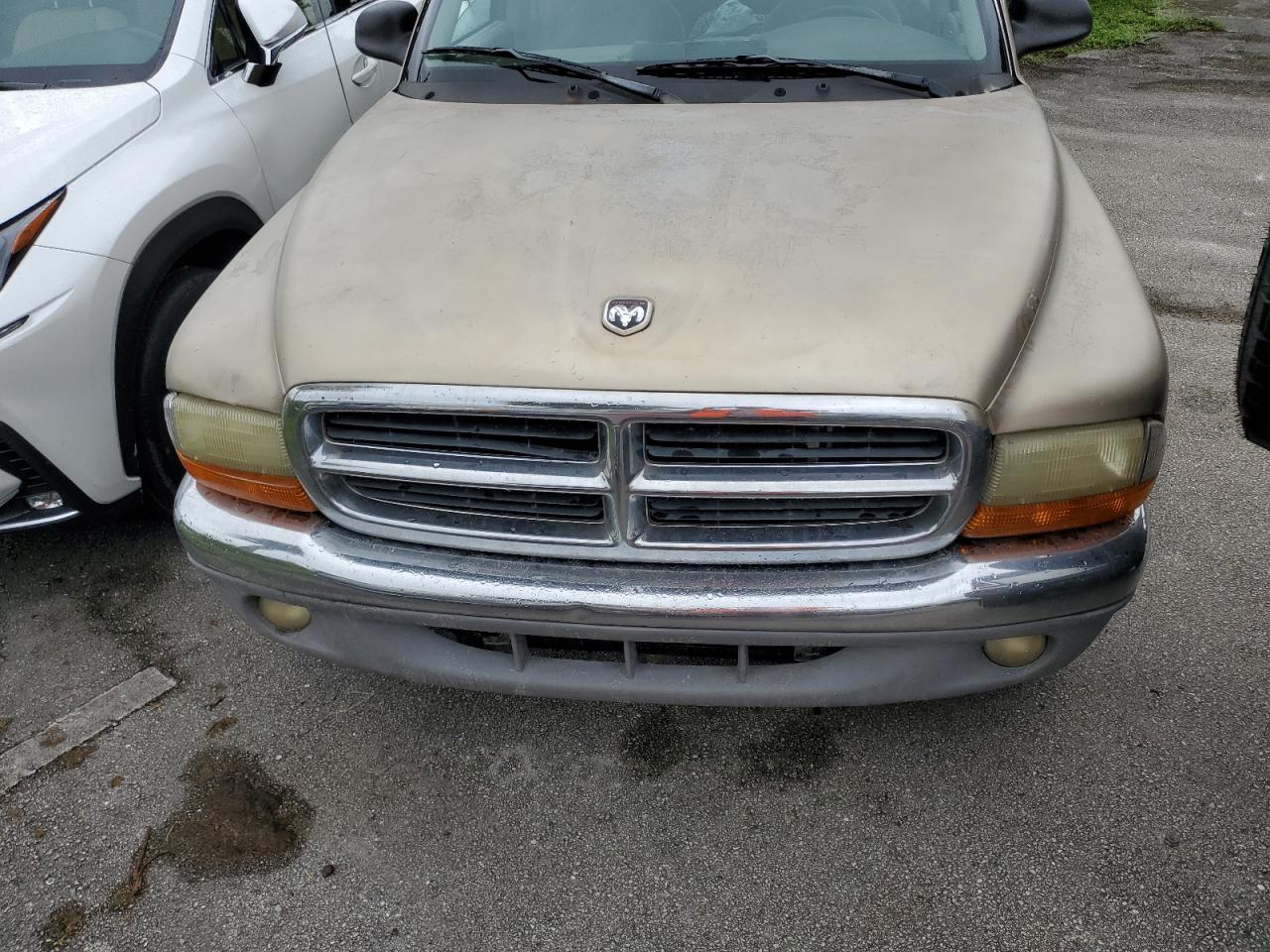 2002 Dodge Dakota Slt VIN: 1B7GL42X62S584547 Lot: 74908594