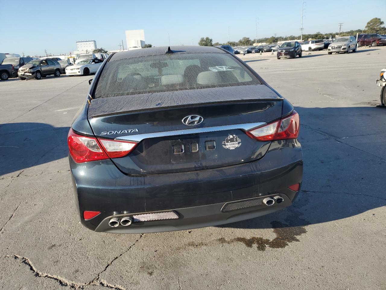 2014 Hyundai Sonata Gls VIN: 5NPEB4AC0EH824235 Lot: 77987434