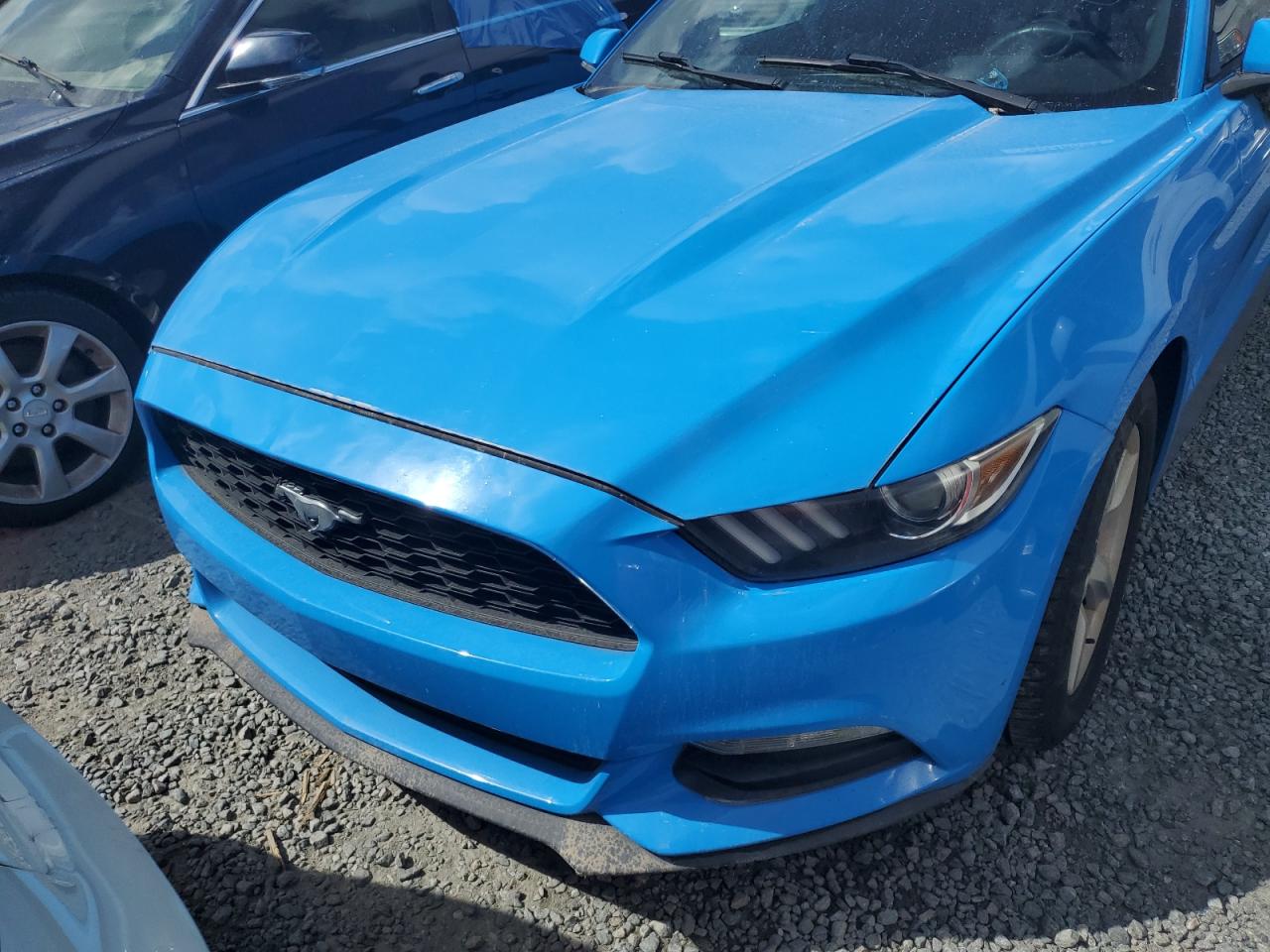 2017 Ford Mustang VIN: 1FA6P8AM9H5224619 Lot: 74348894