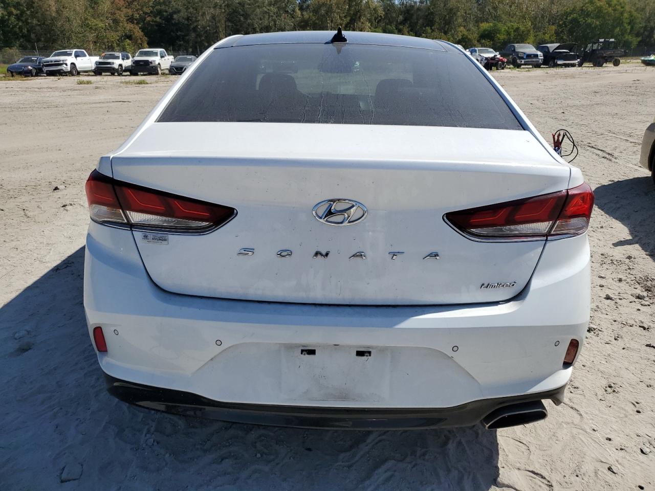 2019 Hyundai Sonata Limited VIN: 5NPE34AF5KH773205 Lot: 77411574