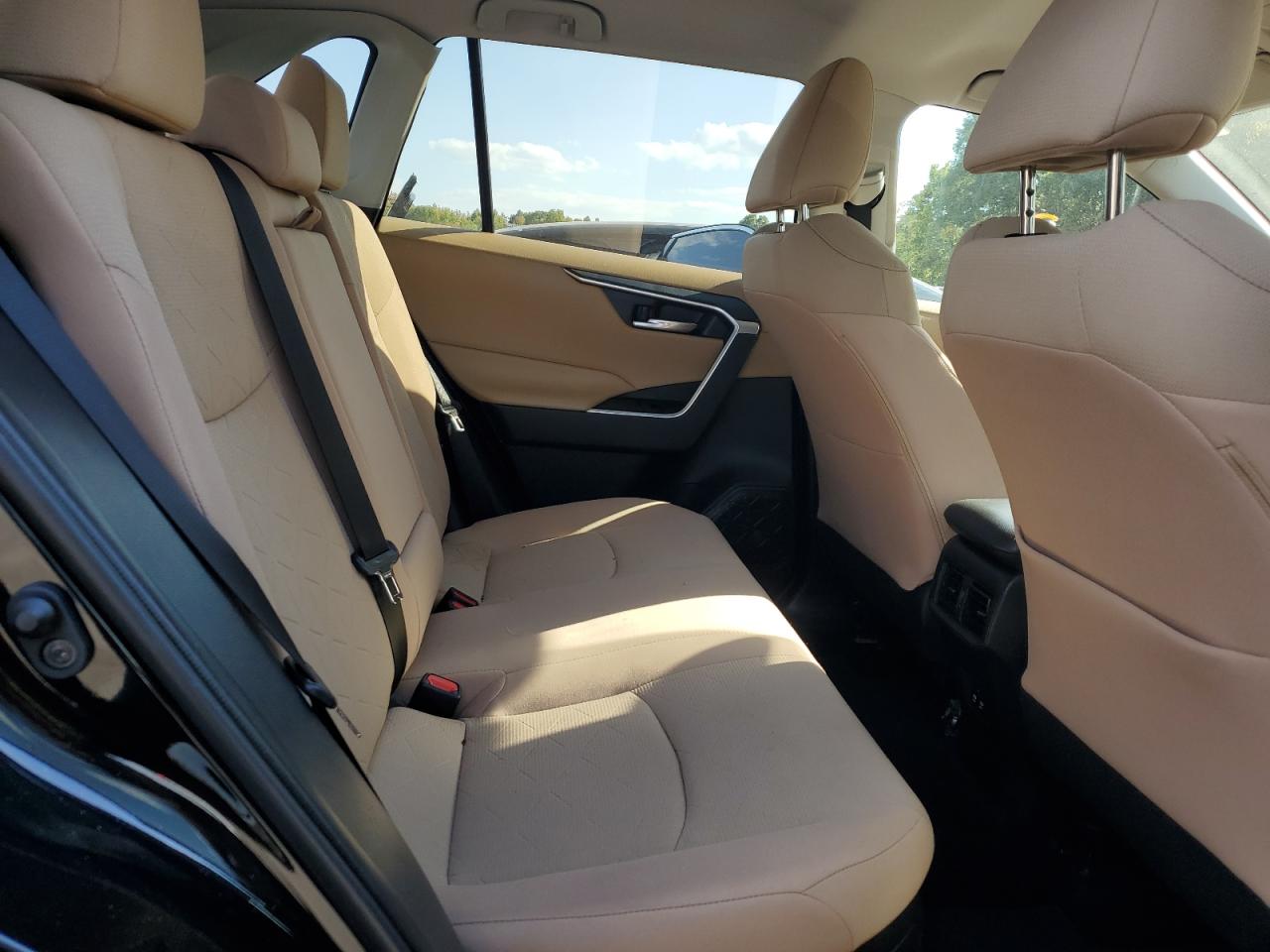 2020 Toyota Rav4 Xle VIN: 2T3RWRFV8LW049895 Lot: 74968114