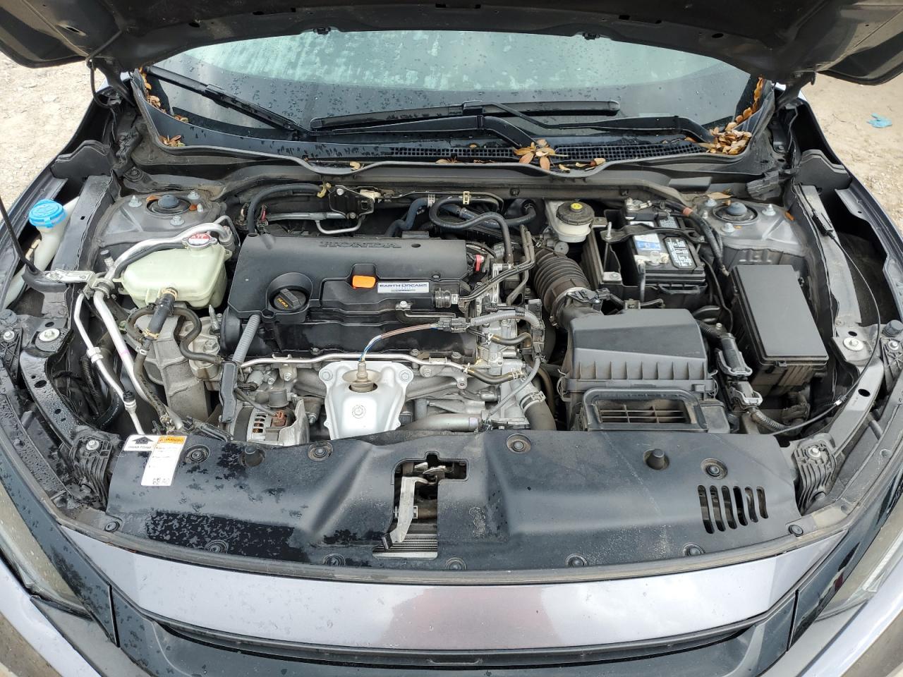 2HGFC2F61KH557704 2019 Honda Civic Lx