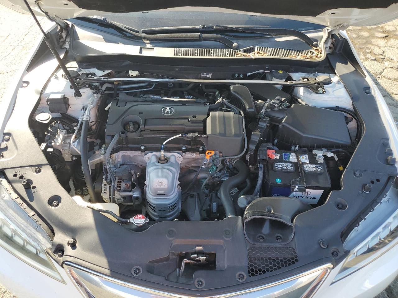 19UUB1F38HA007952 2017 Acura Tlx