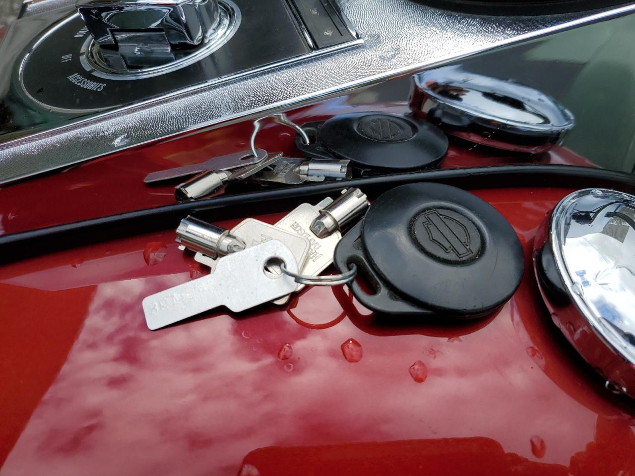 2006 Harley-Davidson Flstci VIN: 1HD1BWB156Y045631 Lot: 76164784