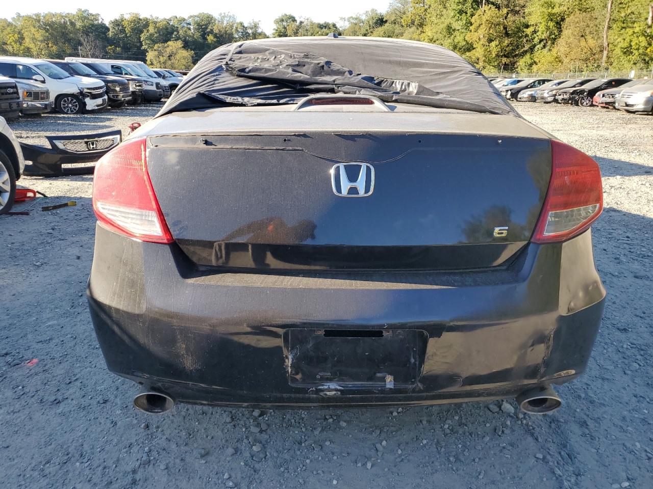 1HGCS2B85BA005022 2011 Honda Accord Exl