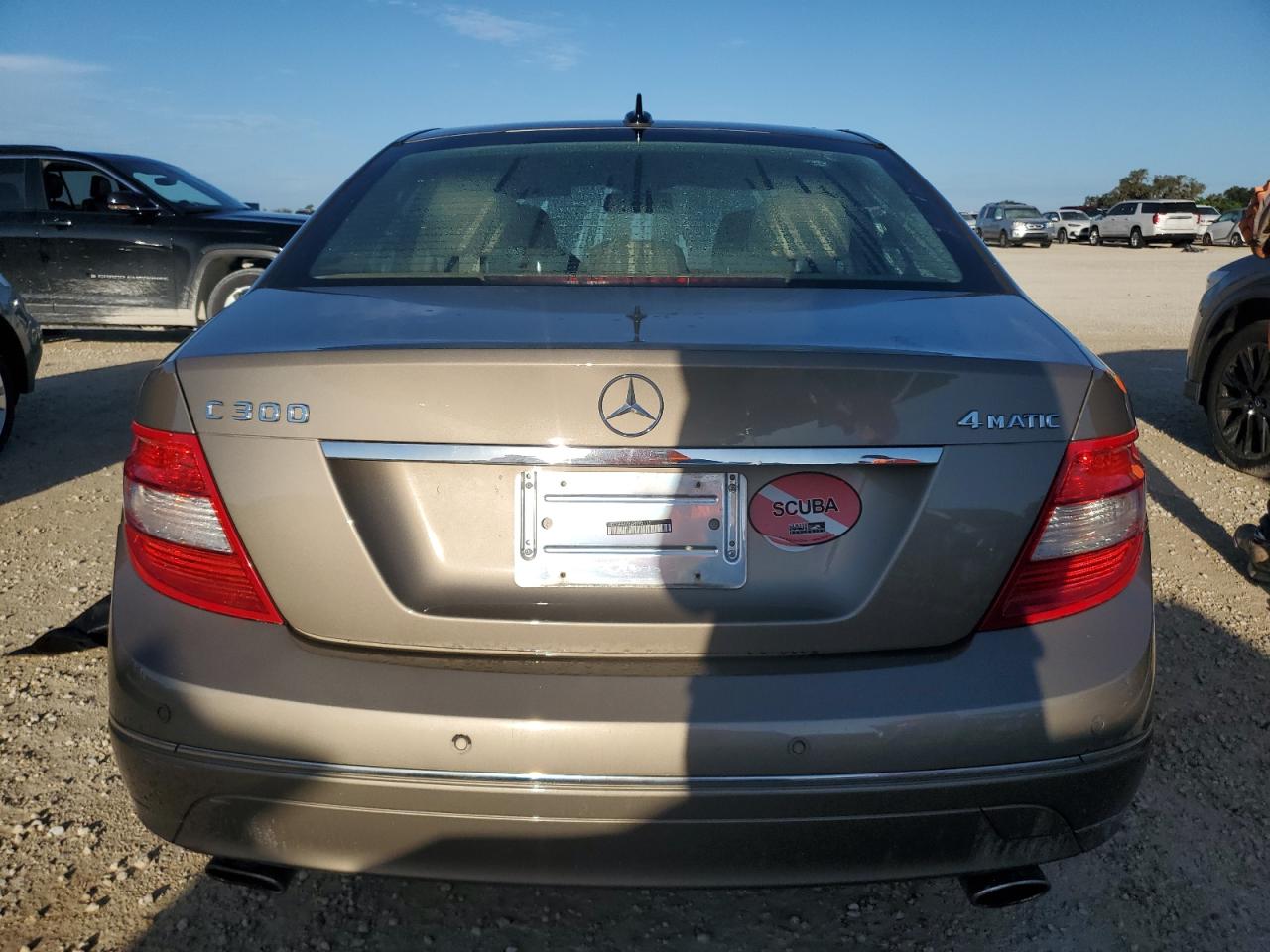 2010 Mercedes-Benz C 300 4Matic VIN: WDDGF8BB6AR095113 Lot: 74237214