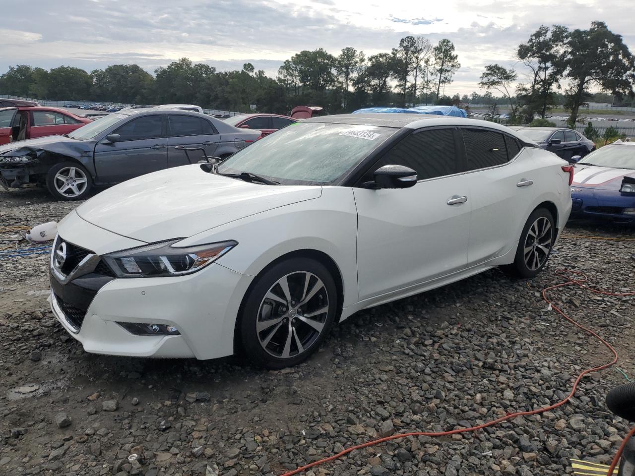 2018 Nissan Maxima 3.5S на продаже в Byron, GA - Minor Dent/Scratches