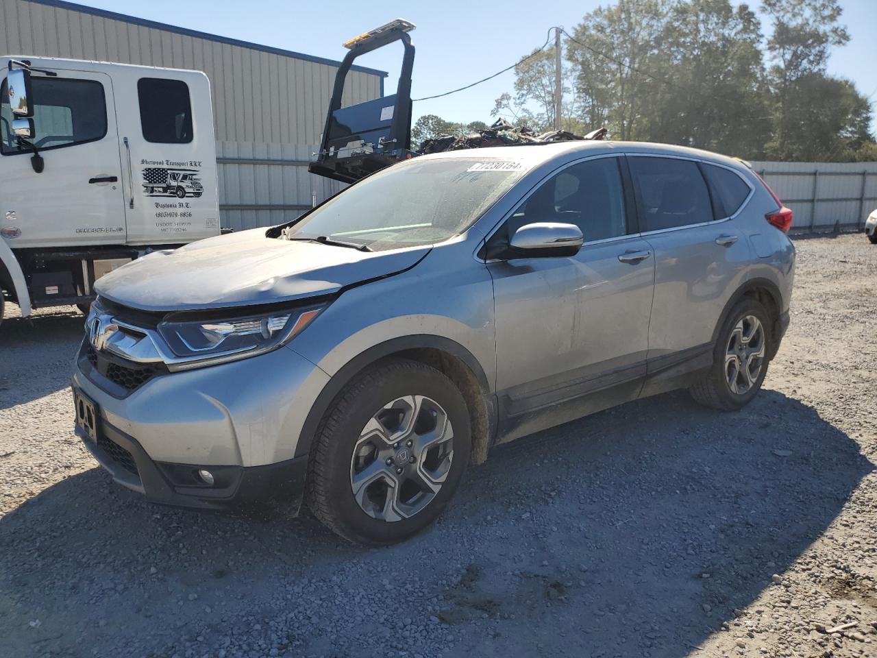 2019 Honda CR-V - Image 1