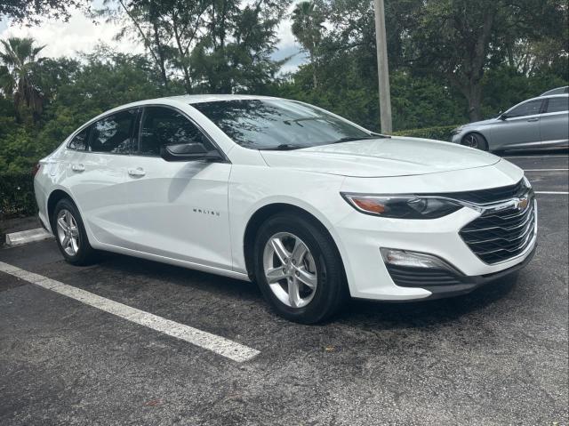  CHEVROLET MALIBU 2023 Серый