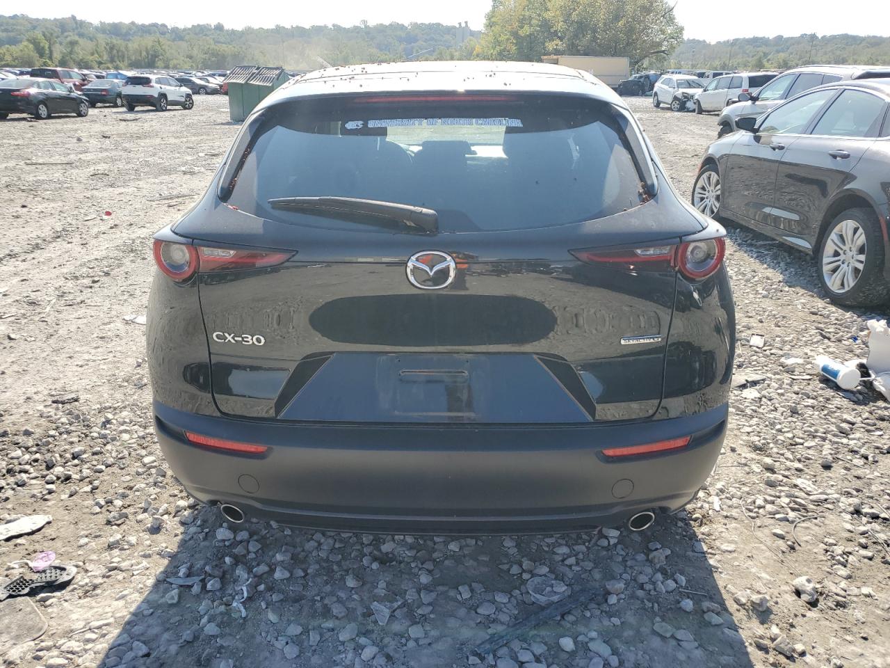 2020 Mazda Cx-30 VIN: 3MVDMABLXLM123291 Lot: 74711804