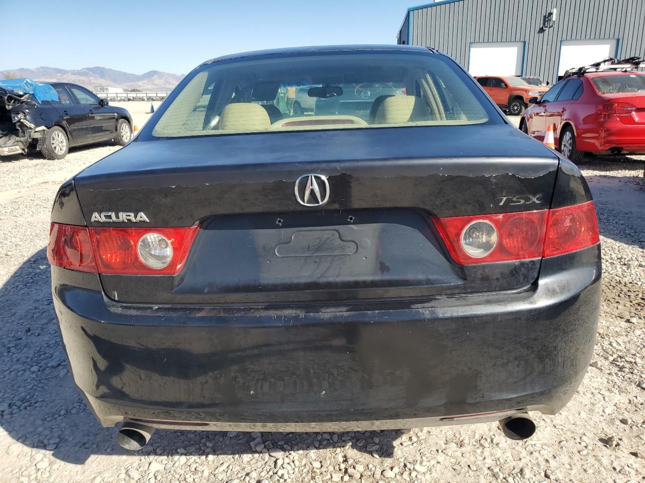 2004 Acura Tsx VIN: JH4CL96984C037279 Lot: 77661284