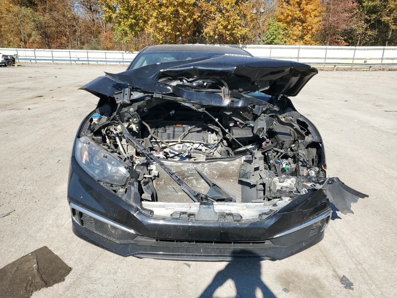 2019 Honda Civic - Image 5