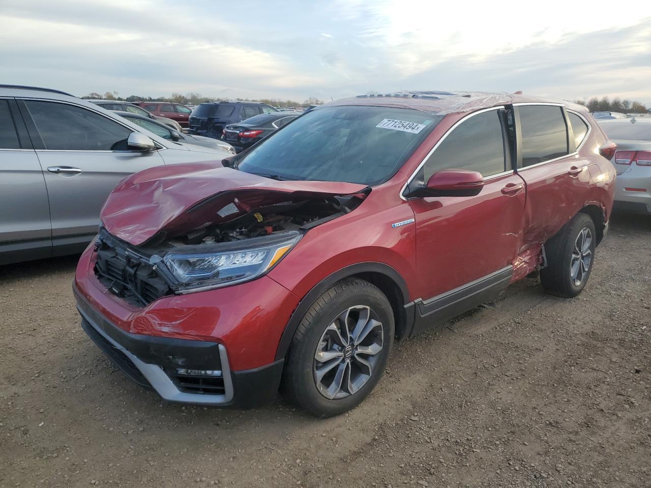 2022 Honda Cr-V Ex VIN: 5J6RT6H54NL002268 Lot: 77125494