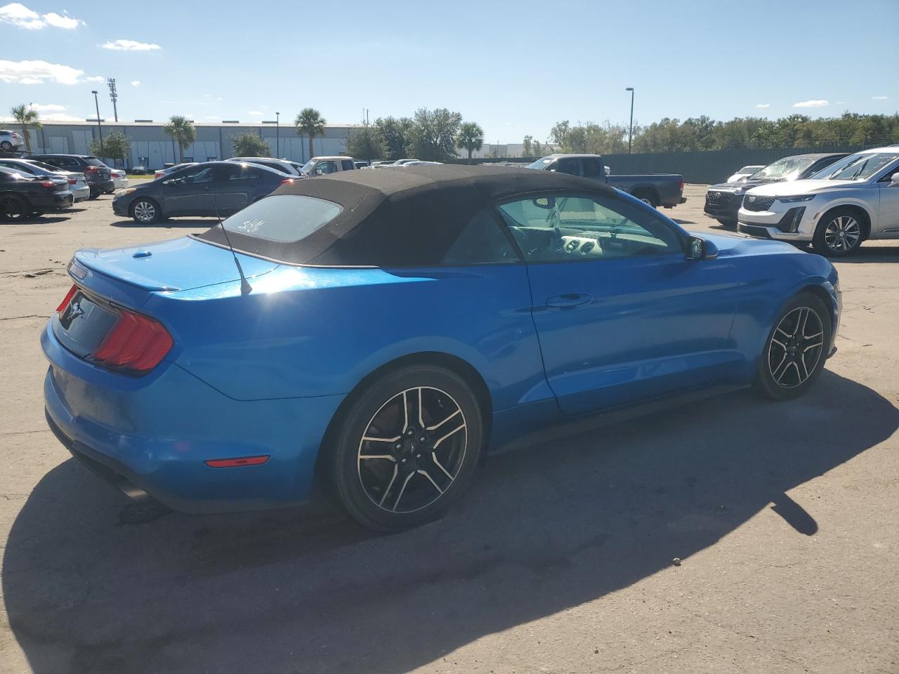 1FATP8UH8K5115559 2019 Ford Mustang