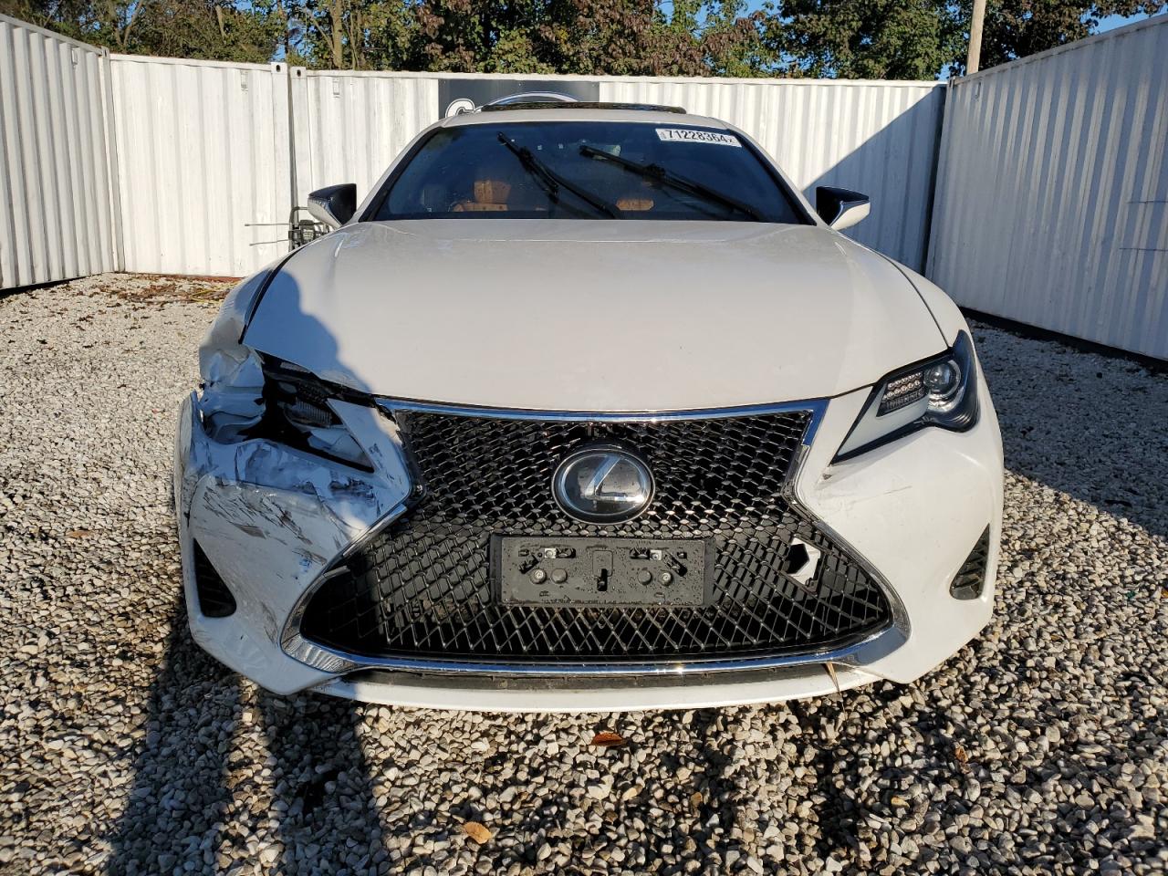 2019 Lexus Rc 300 VIN: JTHHA5BC7K5009769 Lot: 71228364