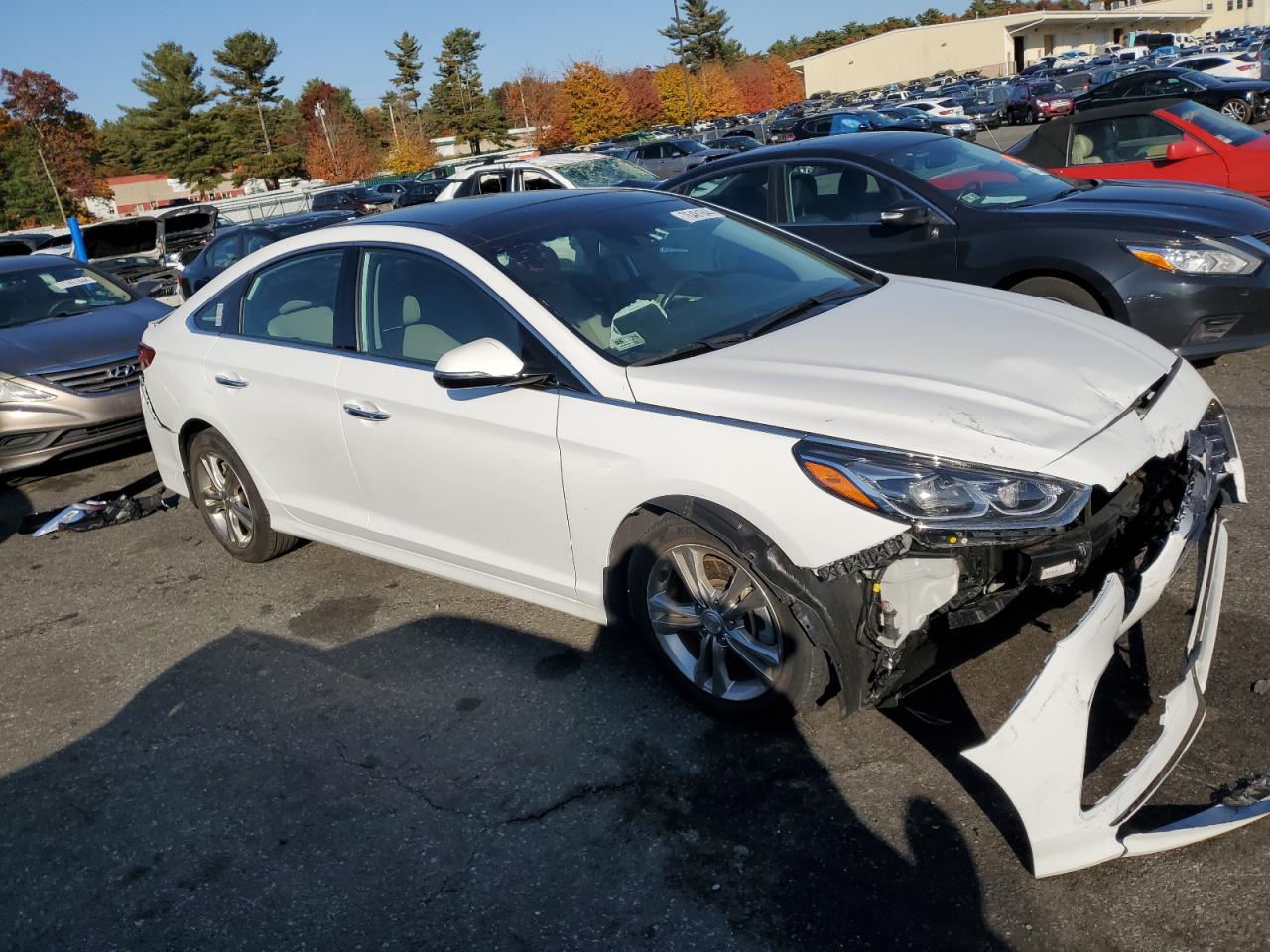 2019 Hyundai Sonata - Image 4