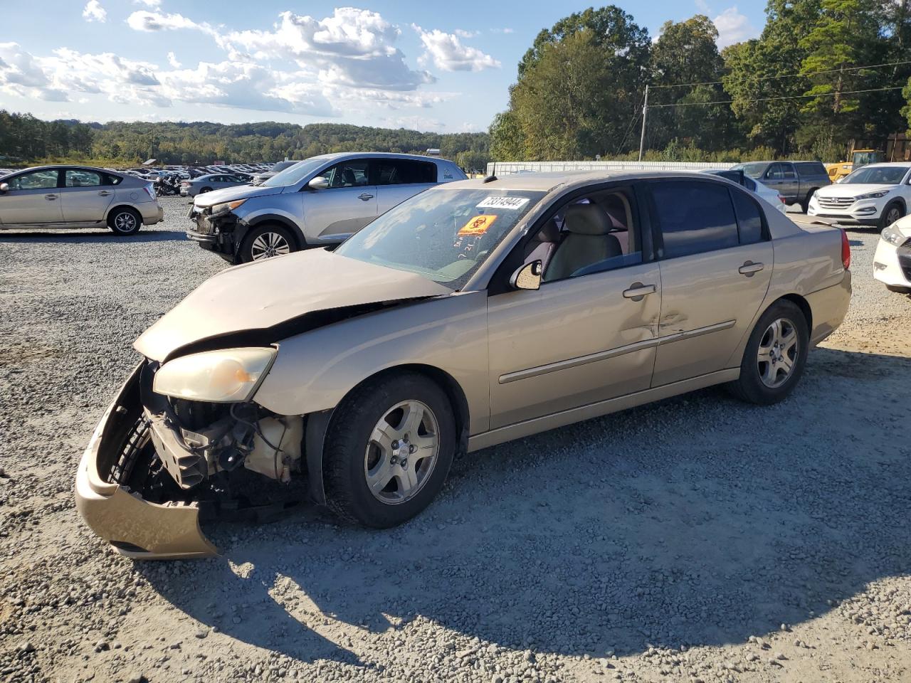 2004 Chevrolet Malibu Lt за продажба в Concord, NC - Front End