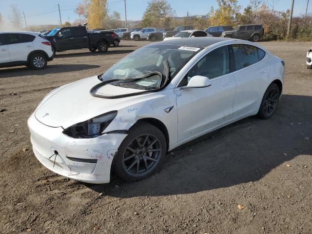  TESLA MODEL 3 2019 Білий