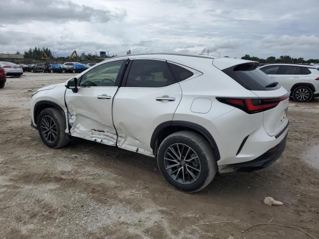 JTJADCAZ5R2011145 Lexus NX 250 Bas 2