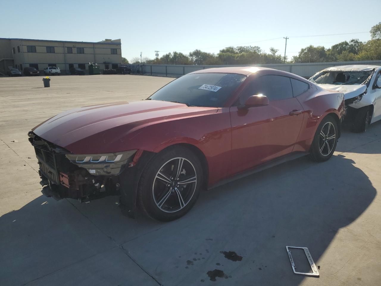 1FA6P8TH1R5131305 2024 FORD MUSTANG - Image 1